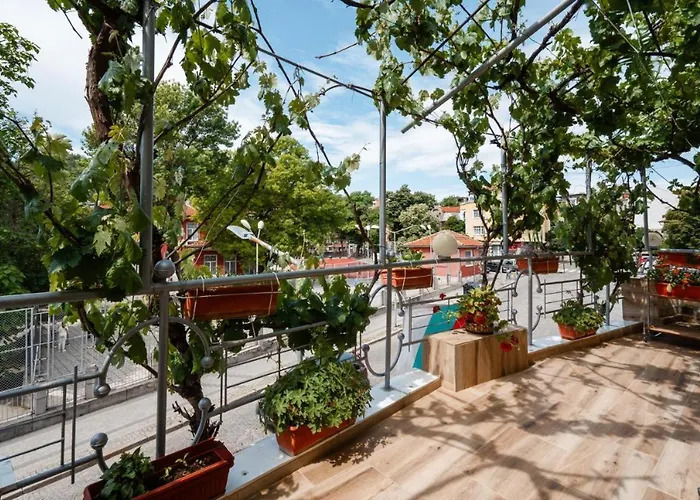 Апартамент Cozy Terrace *